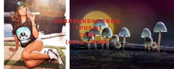 дмт Алзамай