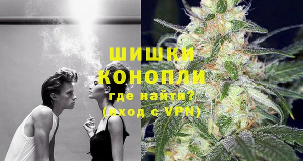 дмт Алзамай