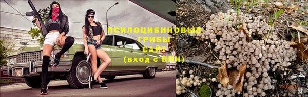 трава Алексеевка