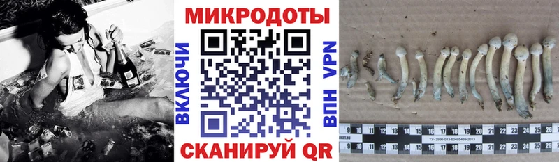 Галлюциногенные грибы ЛСД купить наркотики сайты Белая Калитва